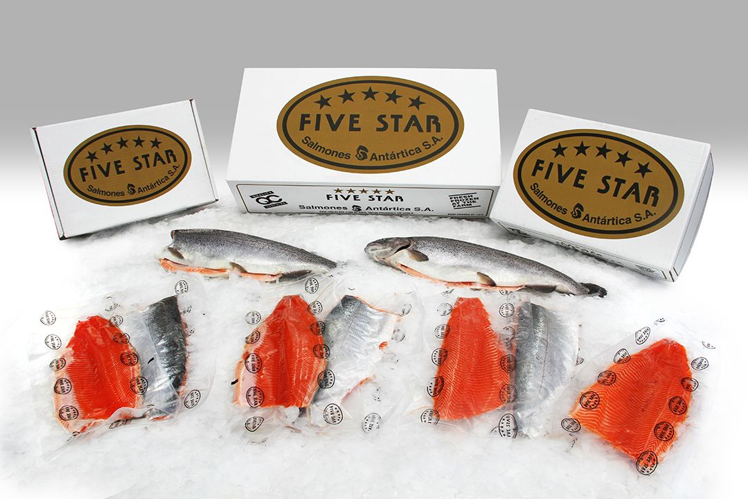 Trucha Trout Steelhead Products